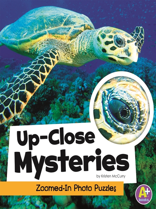 Title details for Up-Close Mysteries by Kristen McCurry - Available